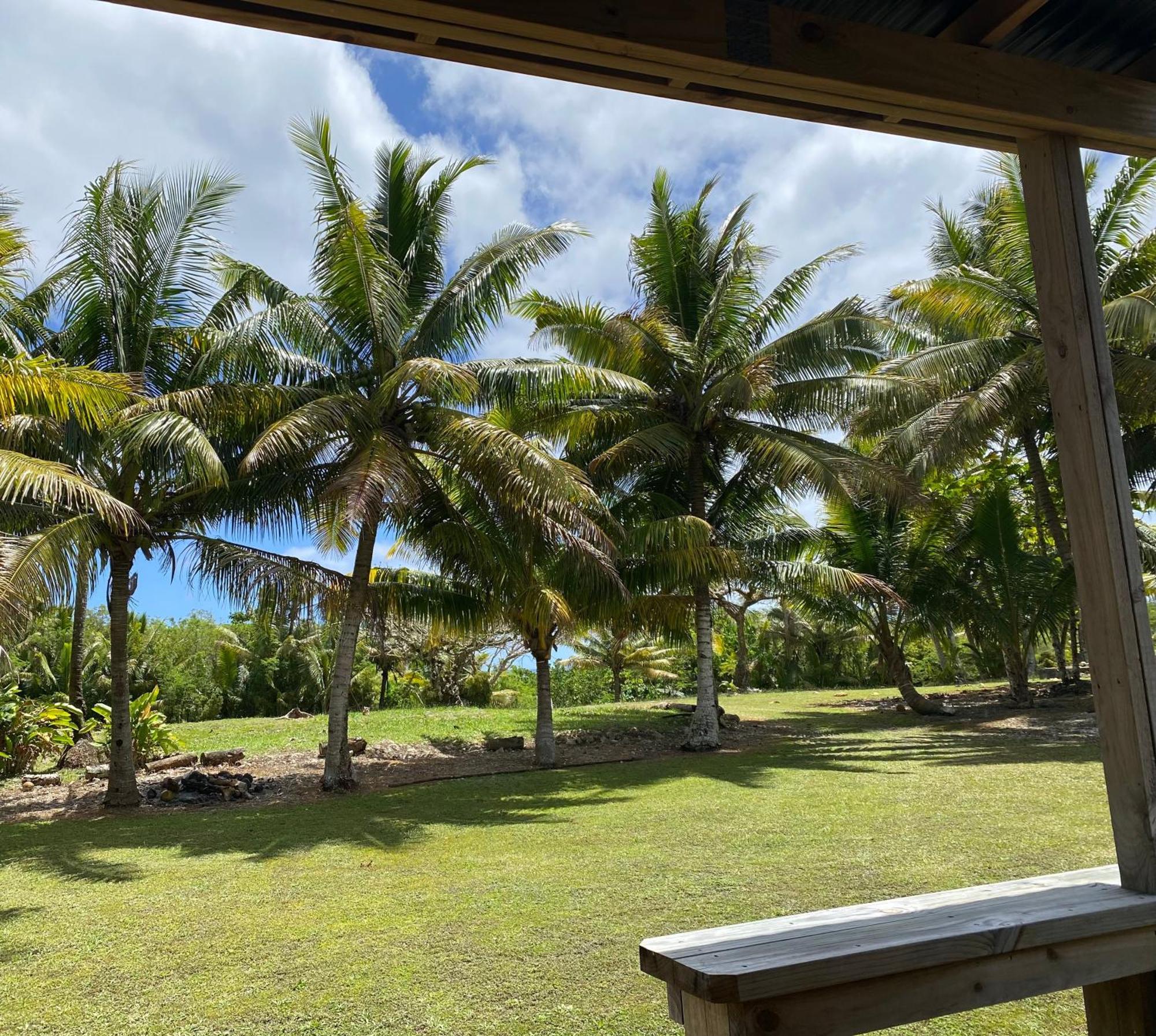 David'S Fale, Alofi, Niue מראה חיצוני תמונה